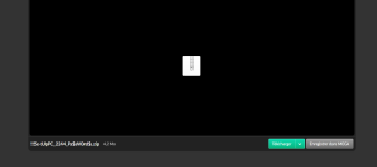 Screenshot 2024-08-25 222255.png